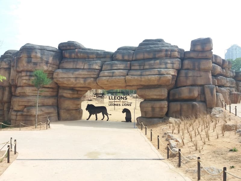 Reforma del espacio de elefantes, jirafas y leones del Zoo de Barcelona